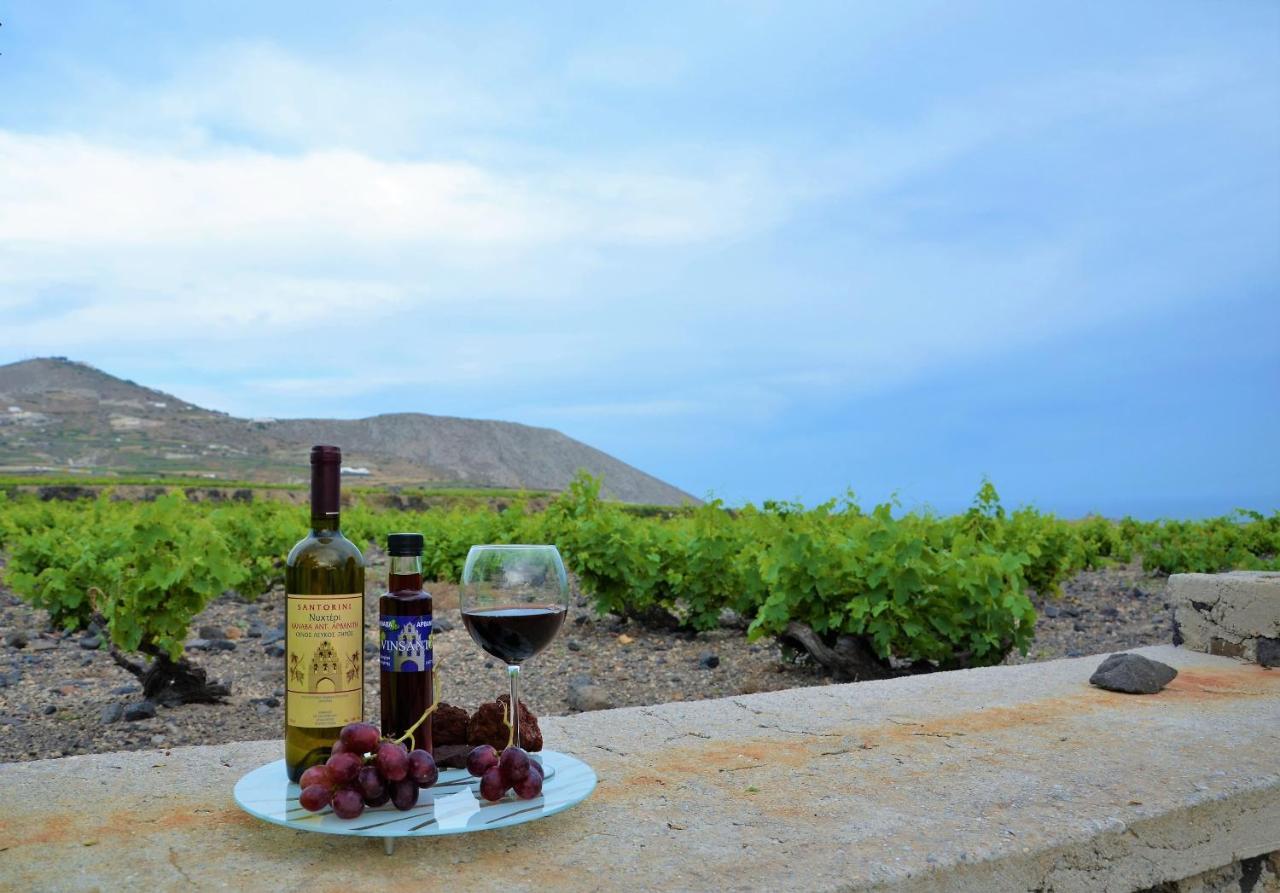 Vineyards Hill Villa Megalochori  Exteriér fotografie