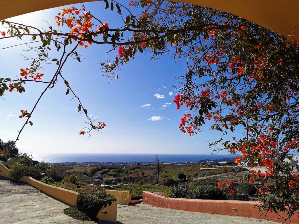 Vineyards Hill Villa Megalochori  Exteriér fotografie